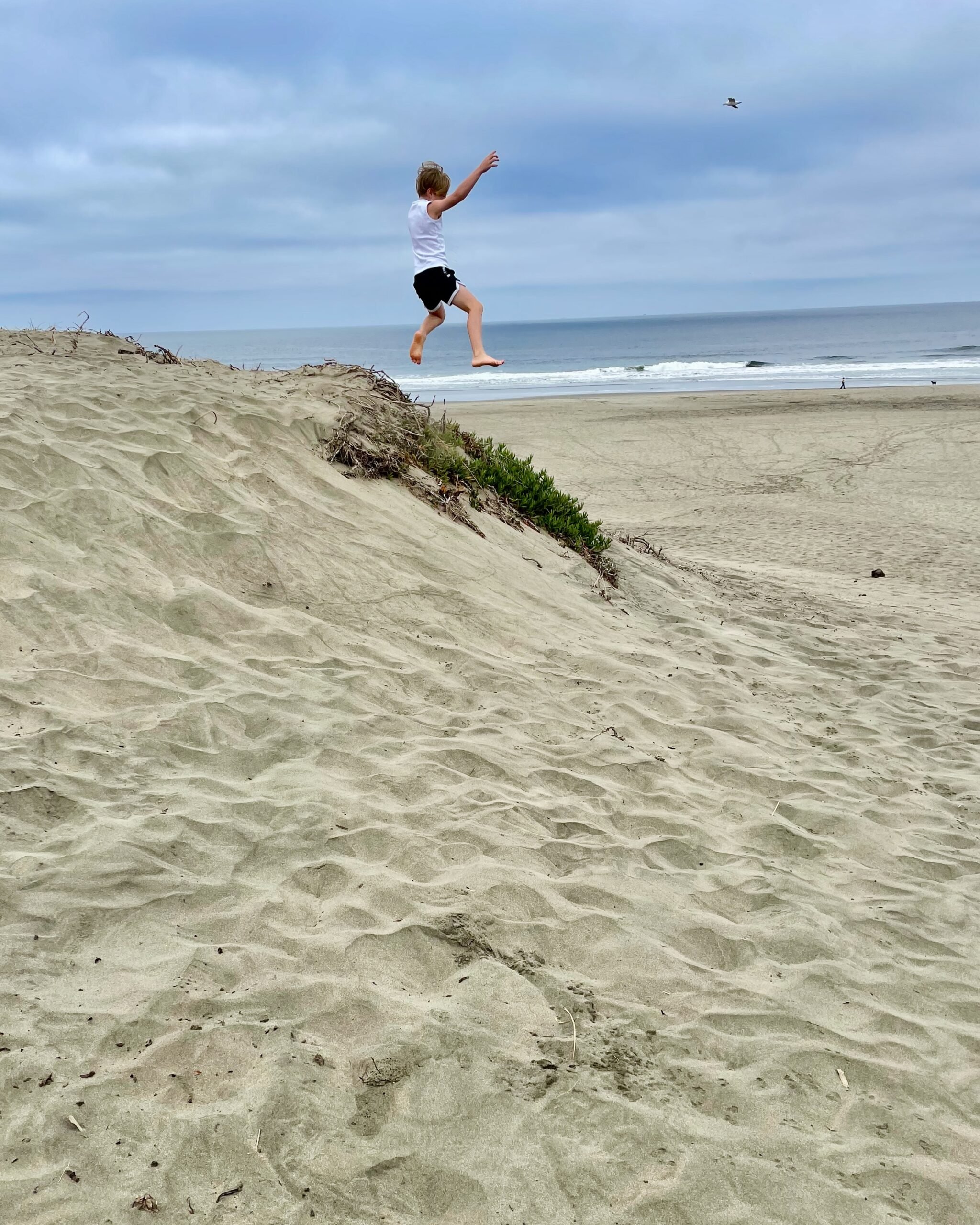 outer sunset dunes